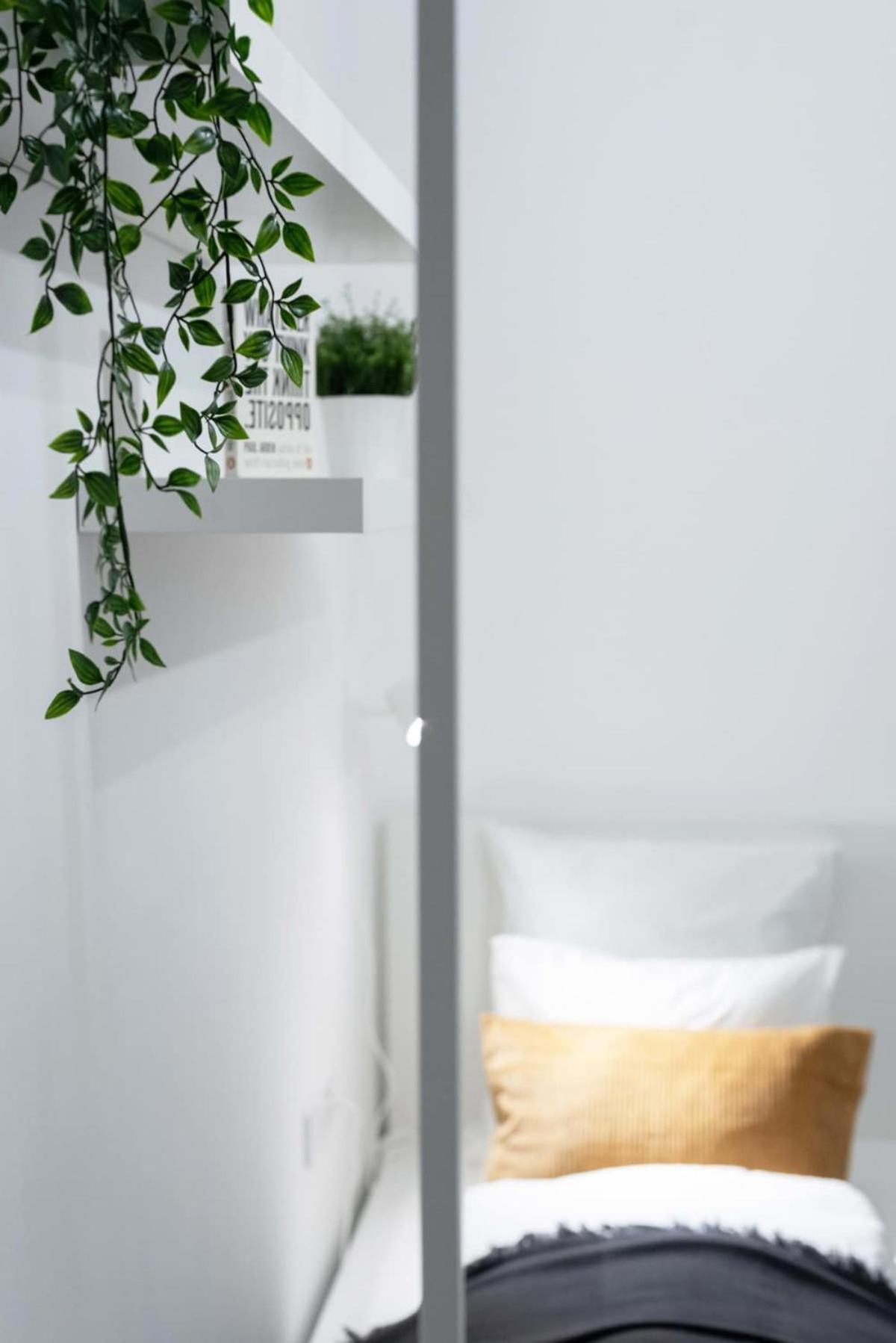 Ideal New In The Center Apartment